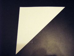 origami_8star03