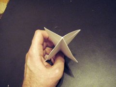 origami_8star19