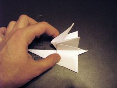 origami_8star24