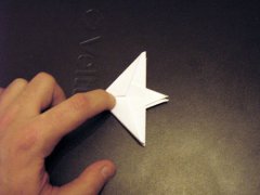 origami_8star31